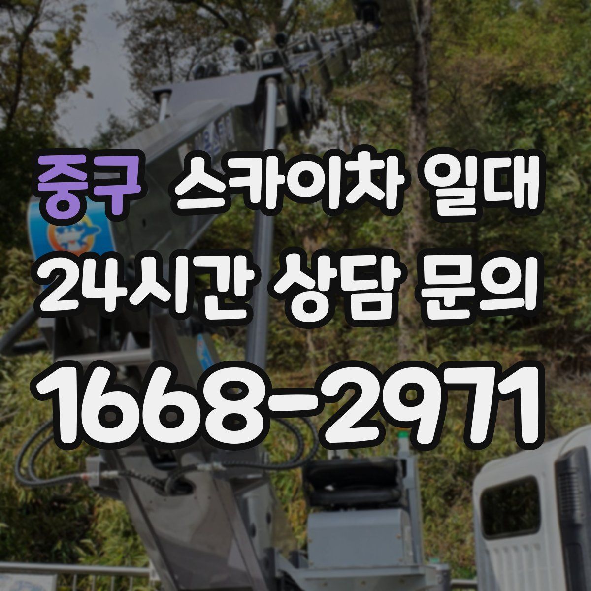 중구 스카이차 일대