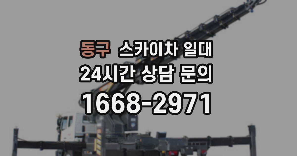 동구 스카이차 일대