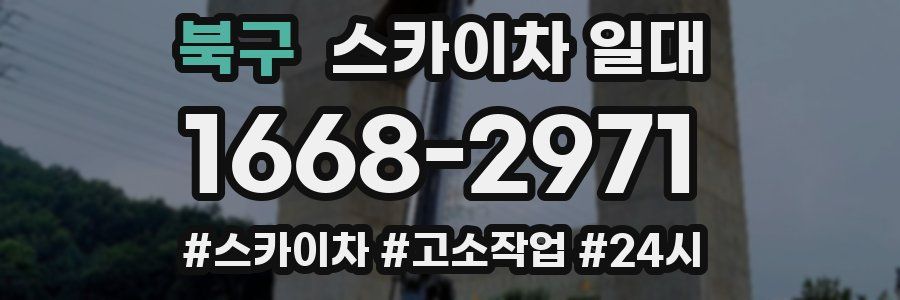 북구 스카이차 일대