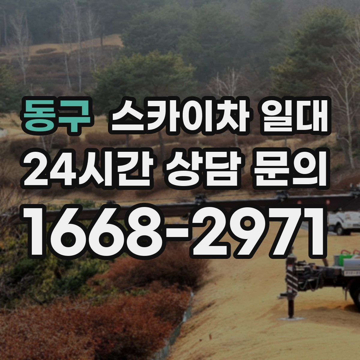 동구 스카이차 일대