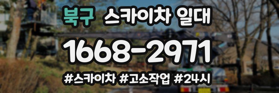 북구 스카이차 일대