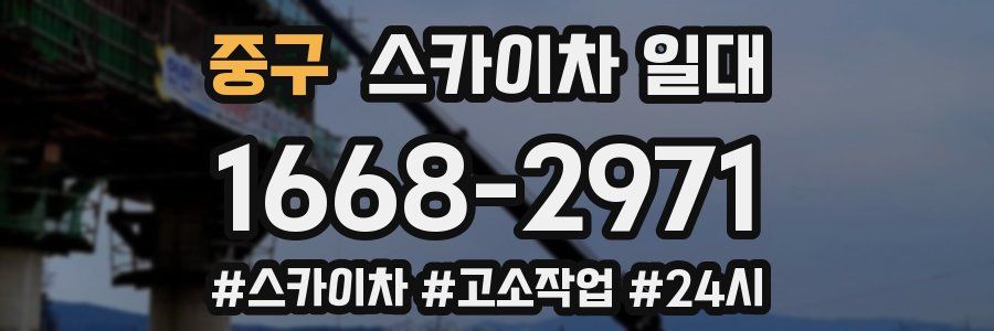 중구 스카이차 일대
