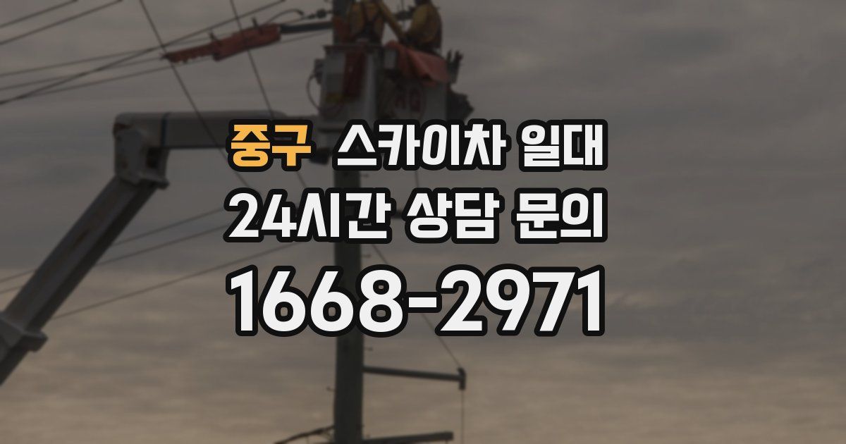 중구 스카이차 일대