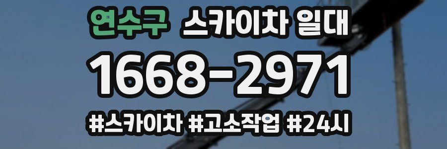 연수구 스카이차 일대