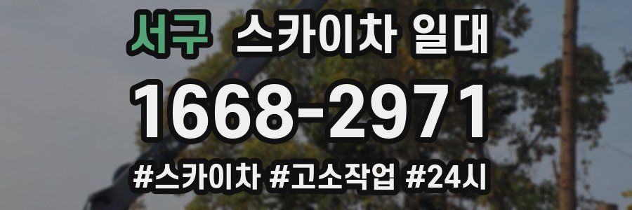 서구 스카이차 일대