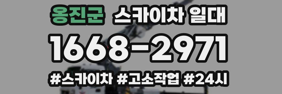 옹진군 스카이차 일대