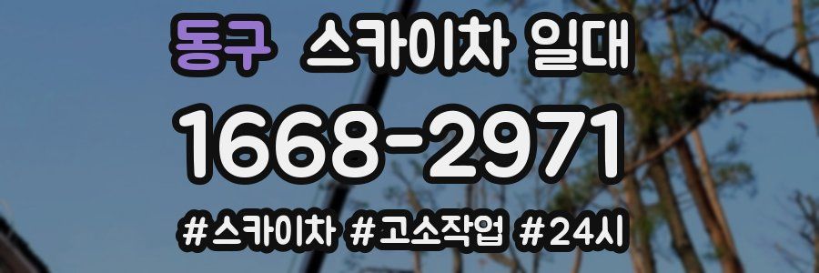 동구 스카이차 일대