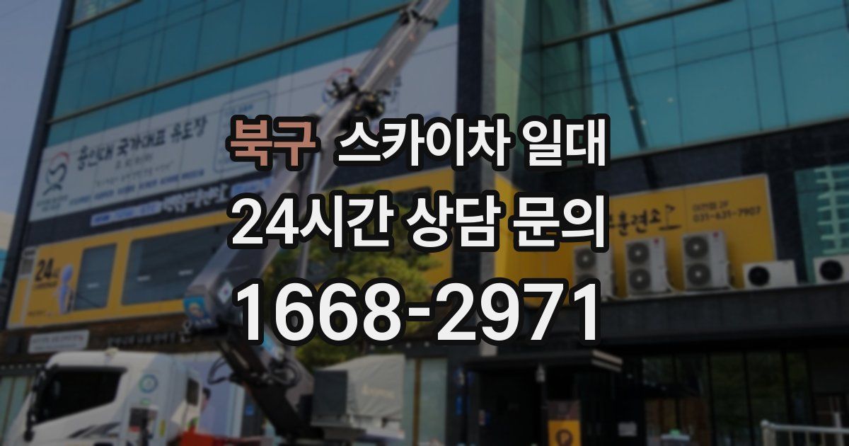 북구 스카이차 일대