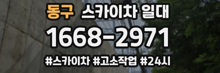 동구 스카이차 일대