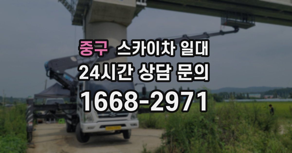 중구 스카이차 일대