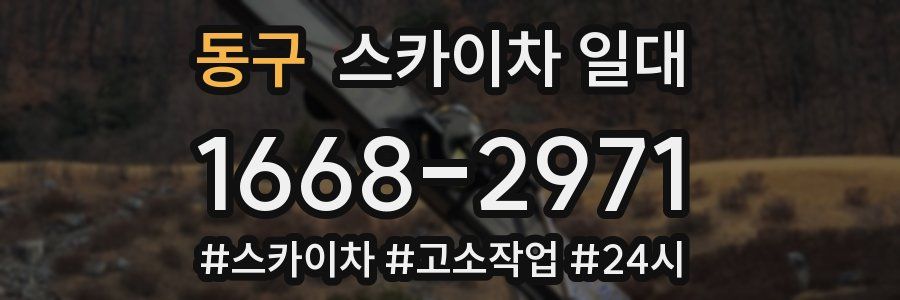 동구 스카이차 일대