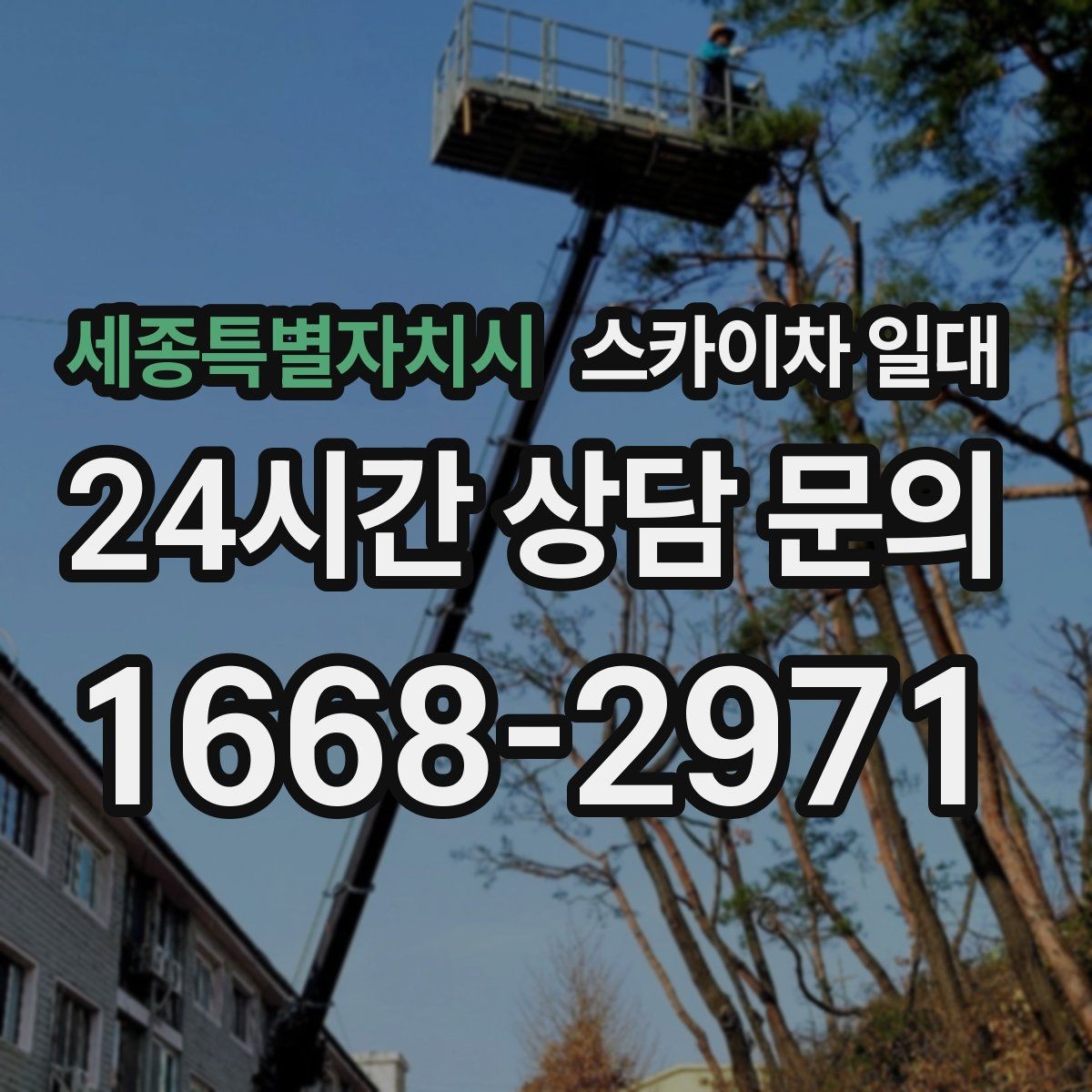 세종특별자치시 스카이차 일대 현장에서 자주 발생하는 궁금증