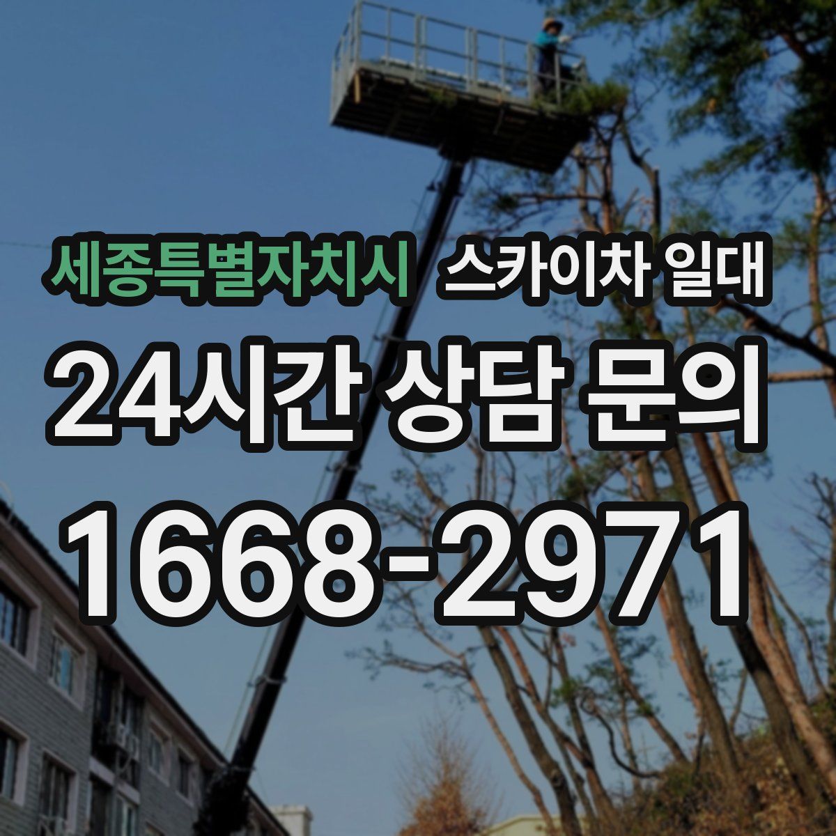 세종특별자치시 스카이차 일대