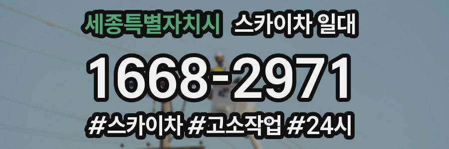 세종특별자치시 스카이차 일대