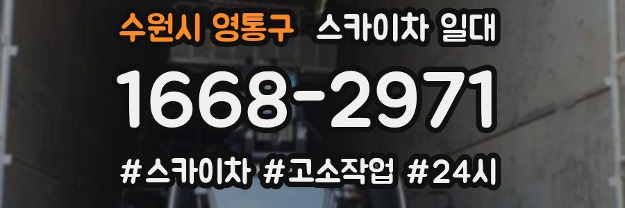 수원시 영통구 스카이차 일대