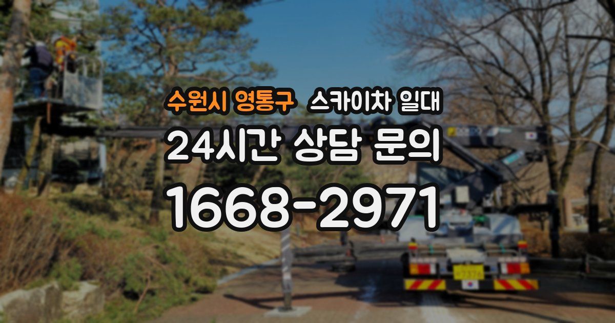 수원시 영통구 스카이차 일대