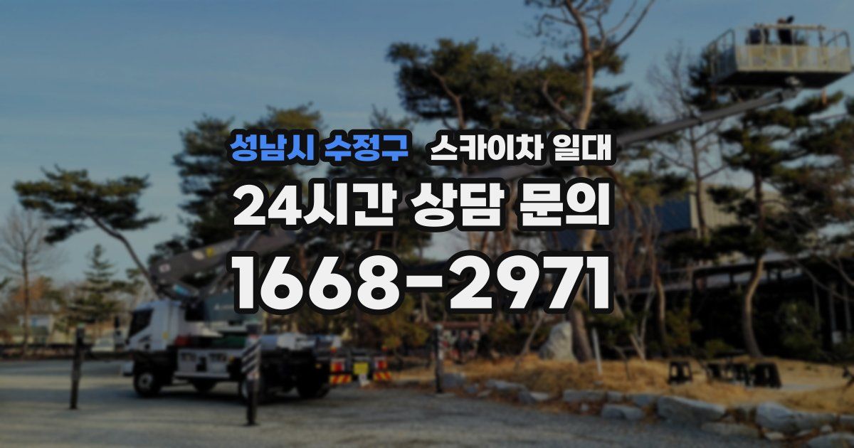 성남시 수정구 스카이차 일대