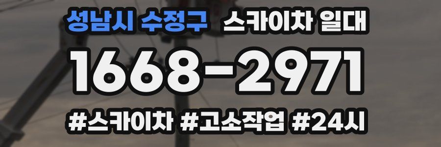 성남시 수정구 스카이차 일대