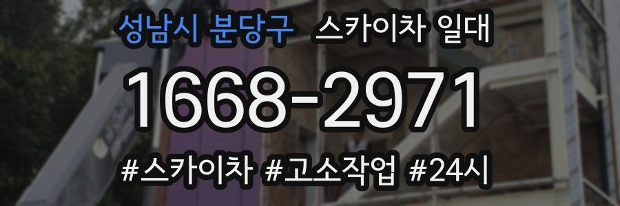 성남시 분당구 스카이차 일대