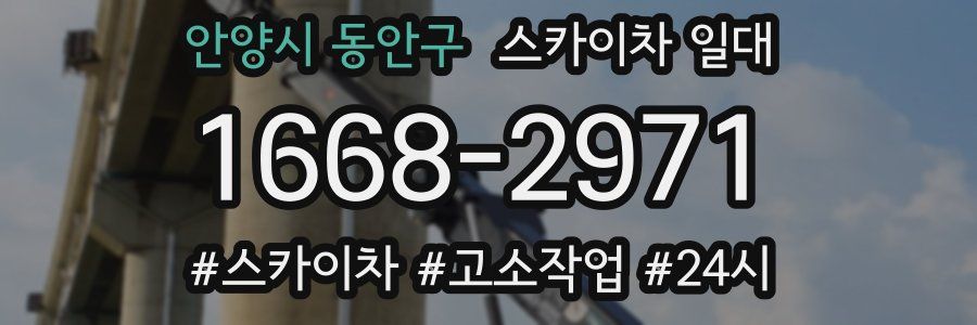 안양시 동안구 스카이차 일대