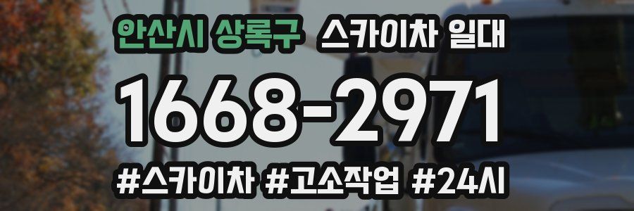 안산시 상록구 스카이차 일대