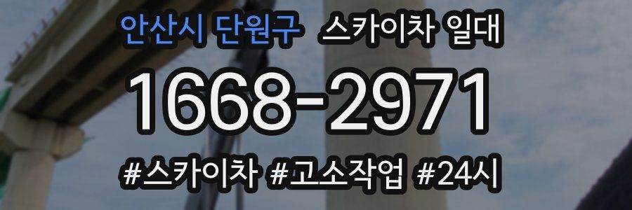 안산시 단원구 스카이차 일대