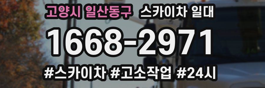고양시 일산동구 스카이차 일대