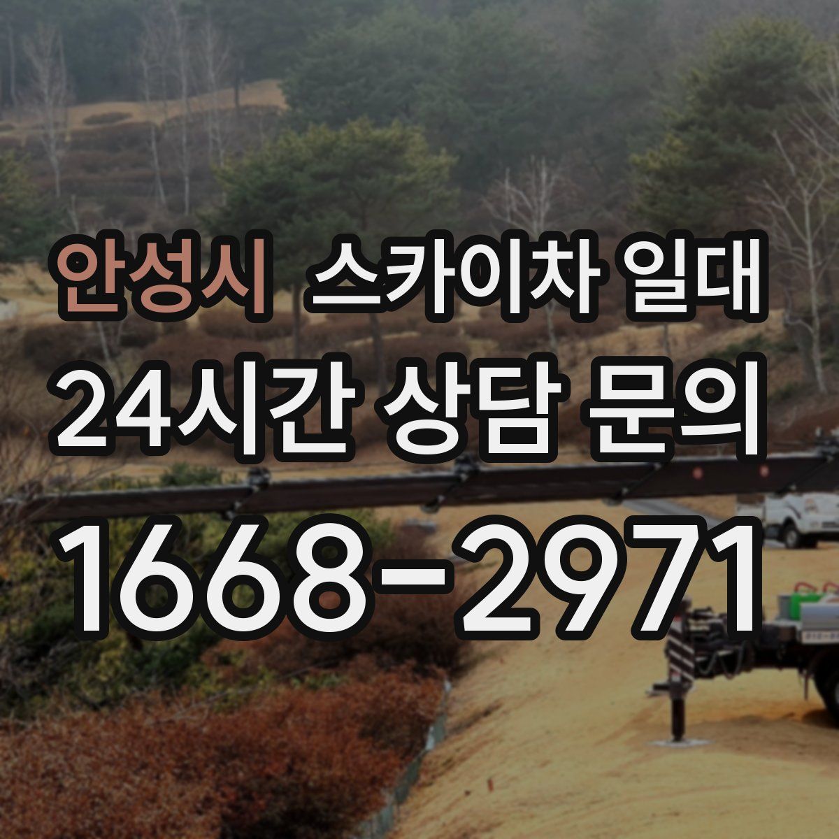 안성시 스카이차 일대