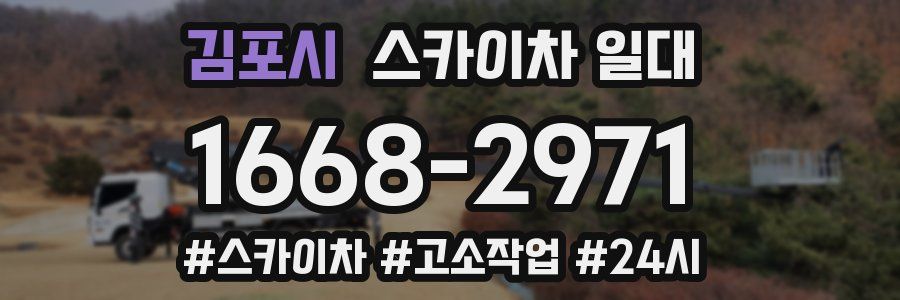 김포시 스카이차 일대