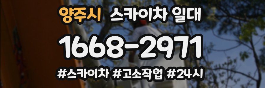 양주시 스카이차 일대