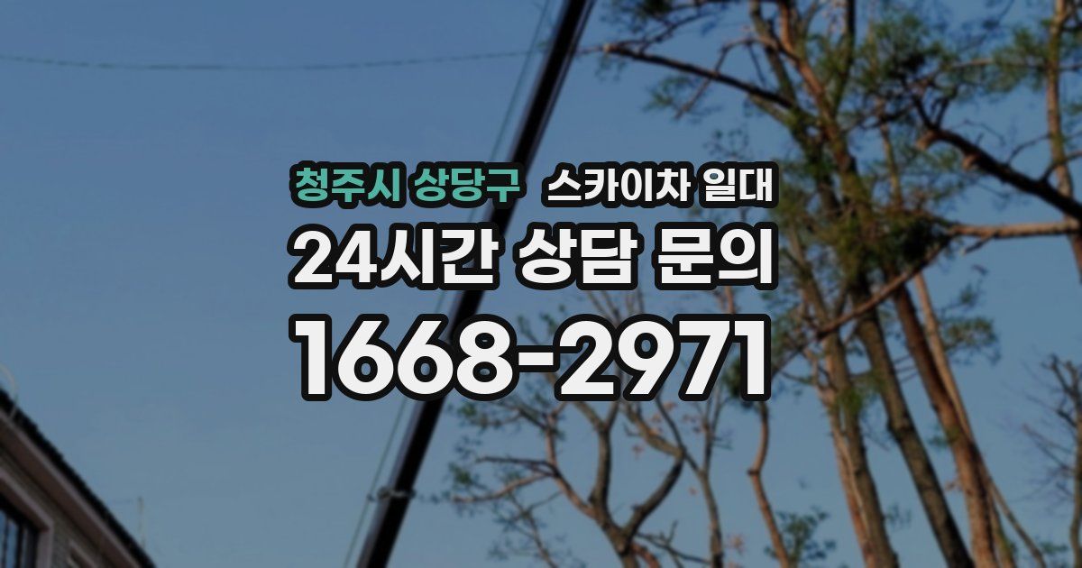 청주시 상당구 스카이차 일대