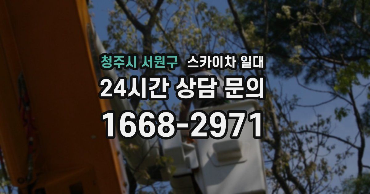 청주시 서원구 스카이차 일대
