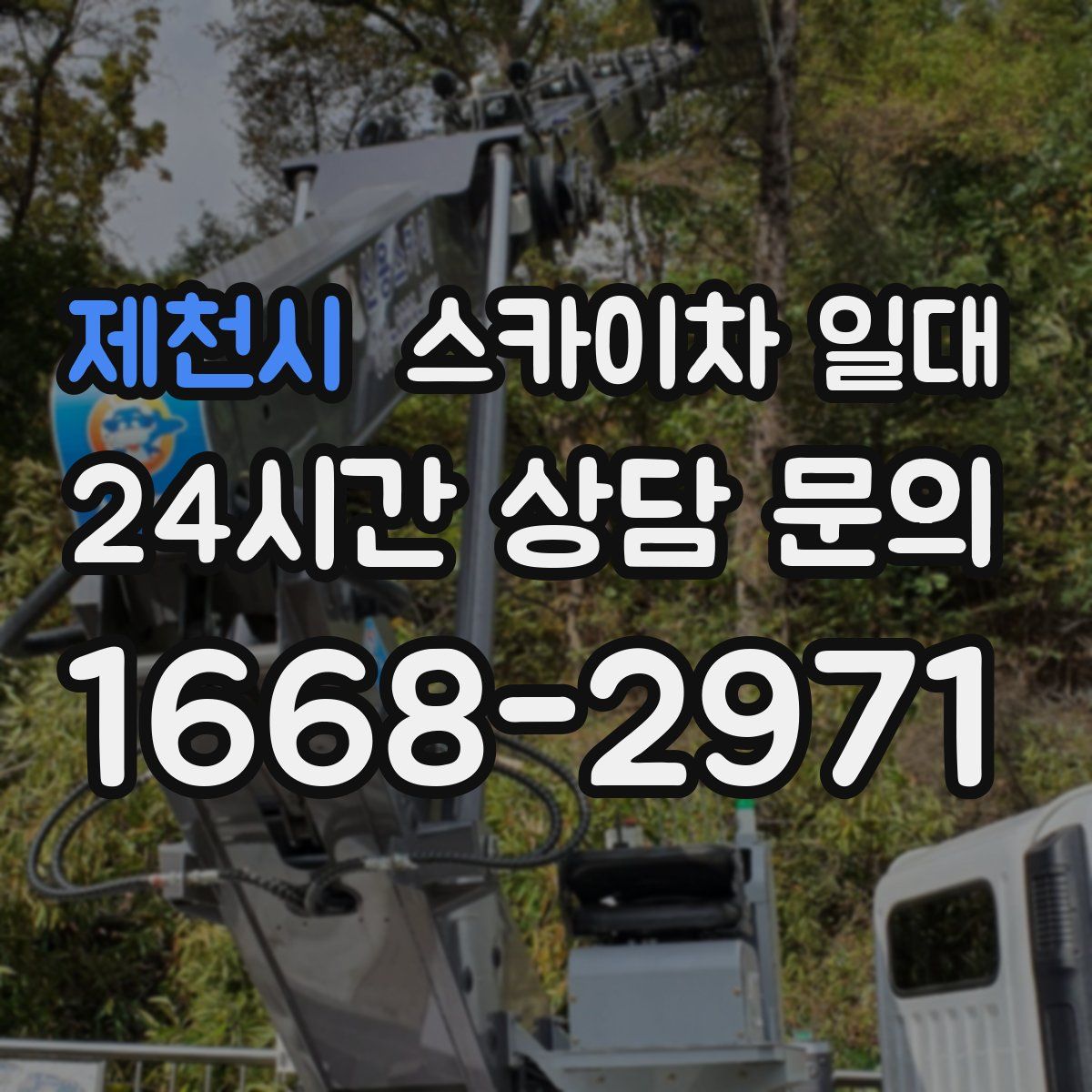 제천시 스카이차 일대