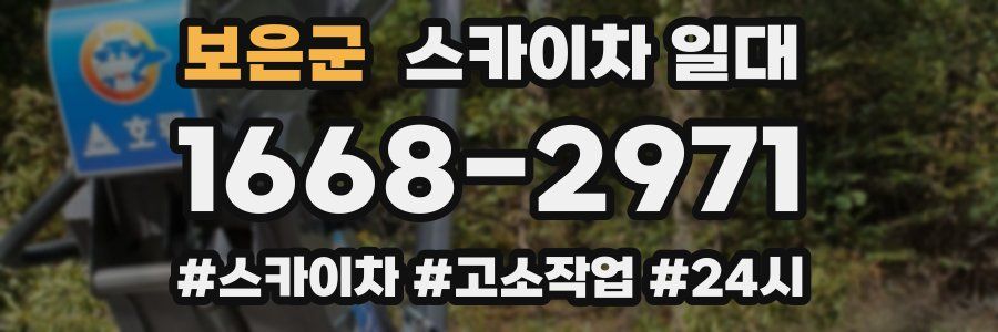 보은군 스카이차 일대