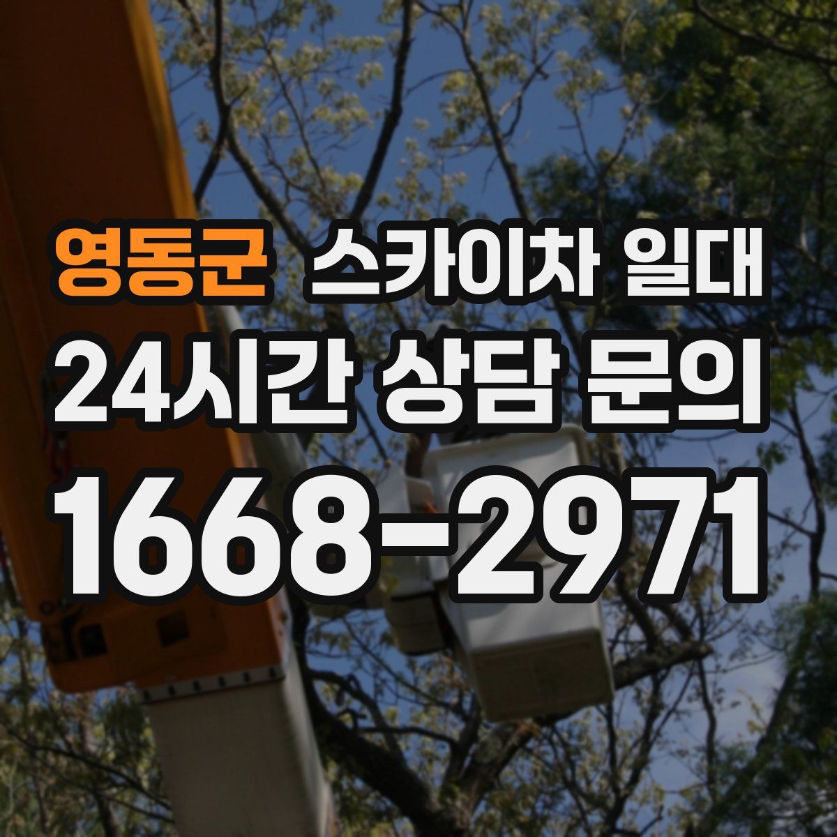 영동군 스카이차 일대