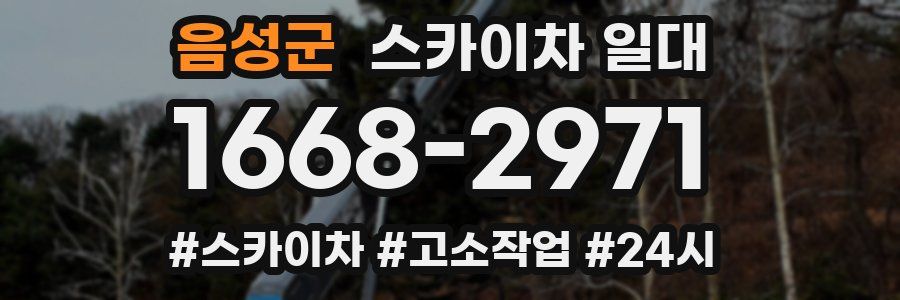 음성군 스카이차 일대