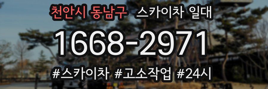 천안시 동남구 스카이차 일대