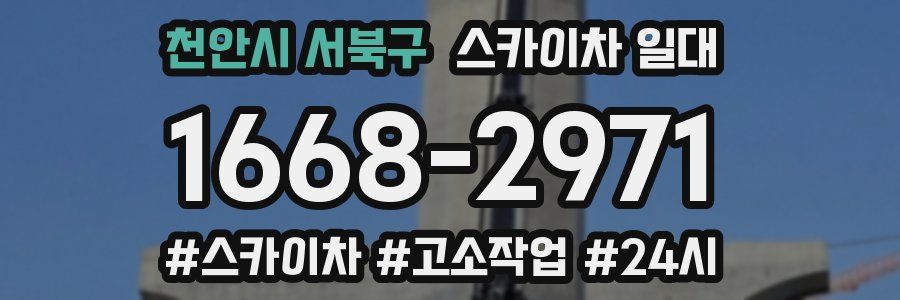 천안시 서북구 스카이차 일대