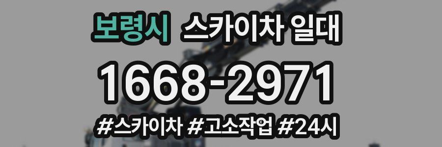 보령시 스카이차 일대