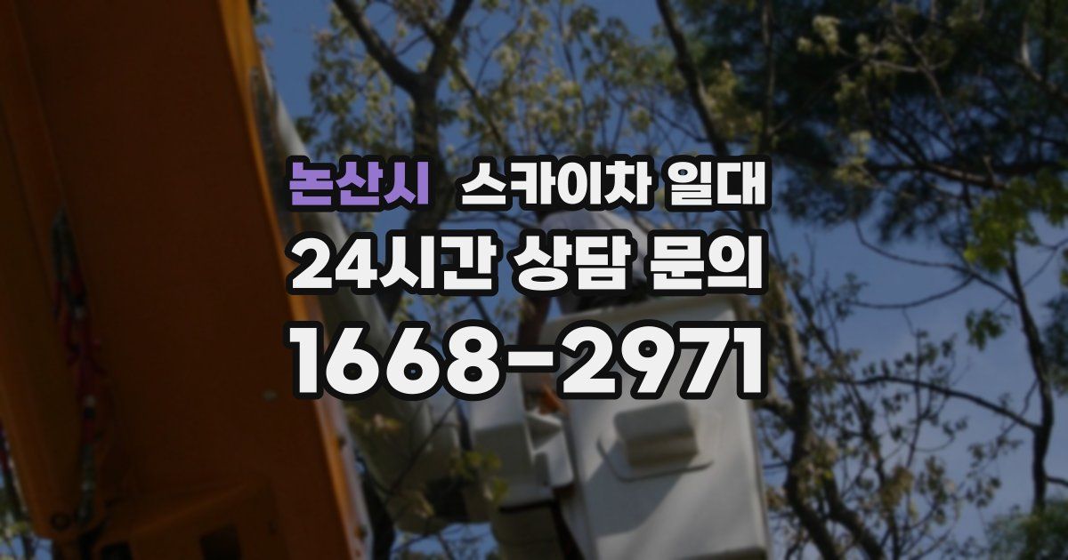논산시 스카이차 일대