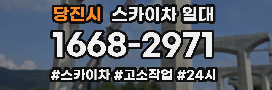 당진시 스카이차 일대