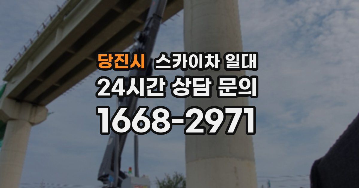 당진시 스카이차 일대
