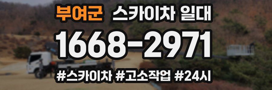 부여군 스카이차 일대