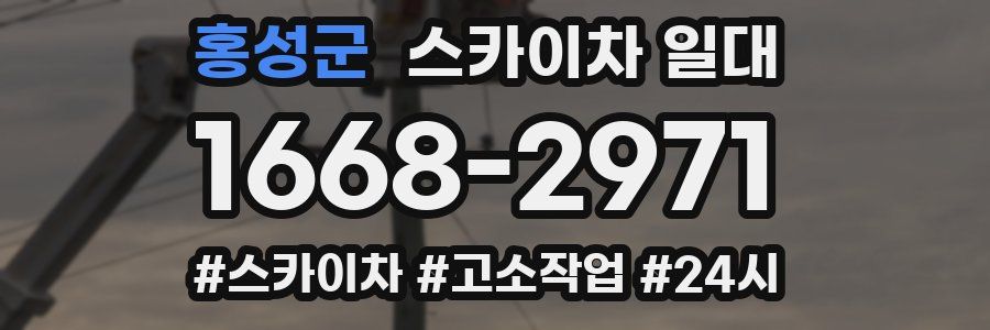 홍성군 스카이차 일대