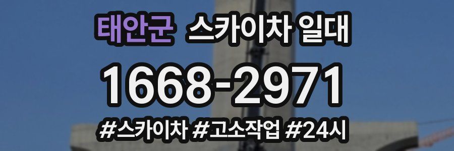 태안군 스카이차 일대