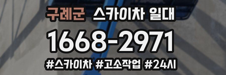구례군 스카이차 일대