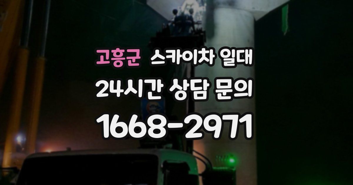 고흥군 스카이차 일대