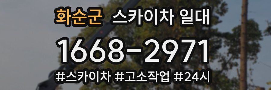 화순군 스카이차 일대