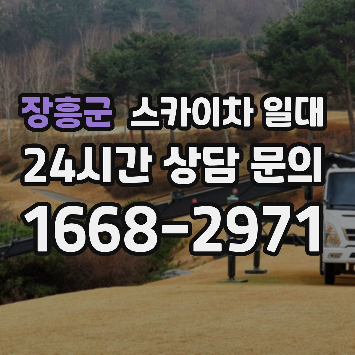 장흥군 스카이차 일대