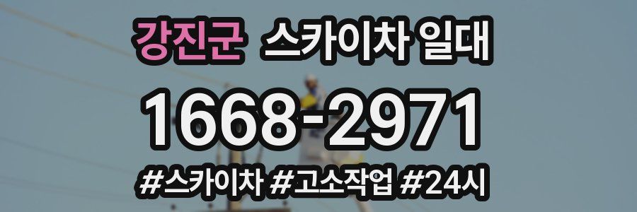 강진군 스카이차 일대